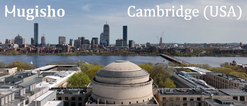 cambridge-cabinet-mugisho